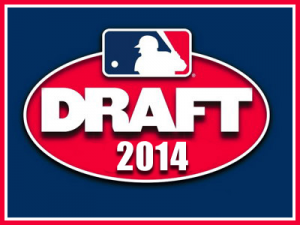 2014 mlb draft feature