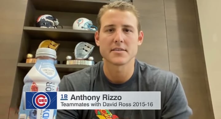 Anthony Rizzo Appears as Reporter & Asks Hilarious Question About Jason  Heyward's Body 