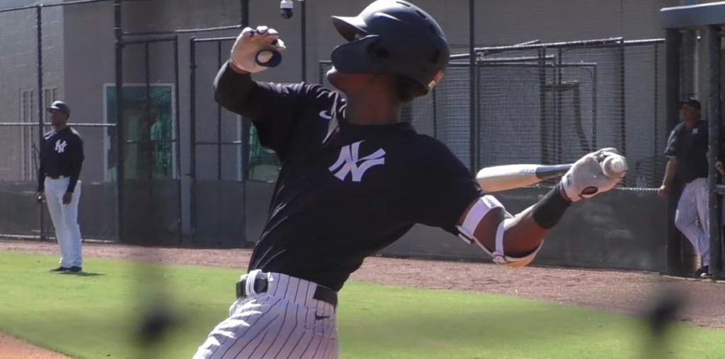 Scouting the New Cubs Prospects From Thursday's Trades: Kevin Alcantara ...