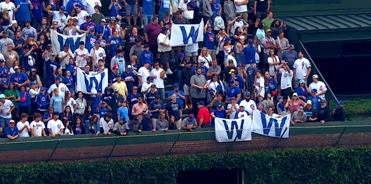 Hot fan, Cubs, Chicago cubs